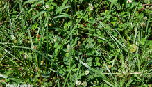3_NovaGraz_web
