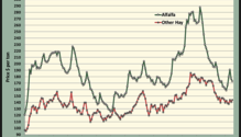 MonthGraph_web