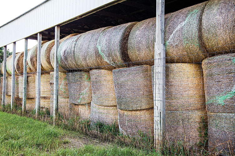 Hay Barns Can Be A Profit Center Hay And Forage Magazine