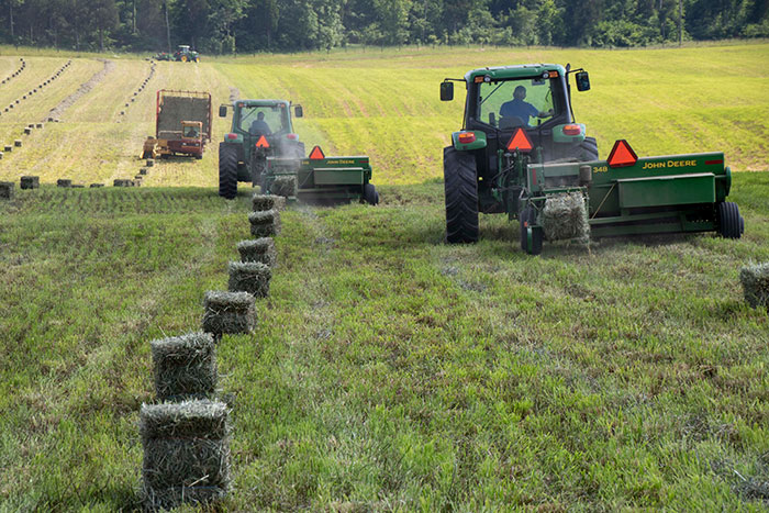 Small square bales just won’t die | Hay and Forage Magazine