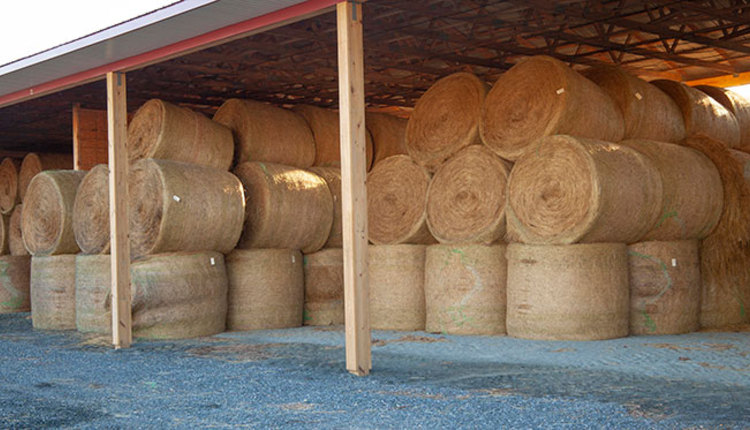 Build A Hay Barn Right The First Time Hay And Forage Magazine