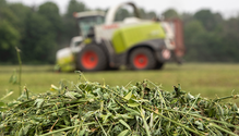 1_Silage_web