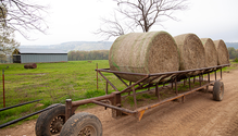 2-WeighBales_Web