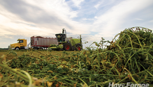 20-Freidal_Farms_AF_22