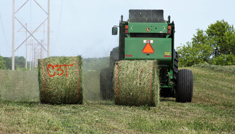 Round Bale Binding Materials Evaluated | Hay And Forage Magazine