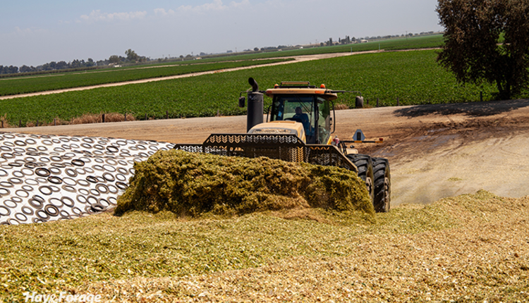 2_Silage_web