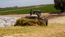 2_Silage_web