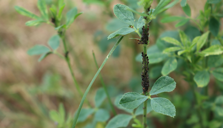 2_iStock-1341094575_ph