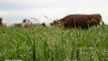 3-Digestibility_web