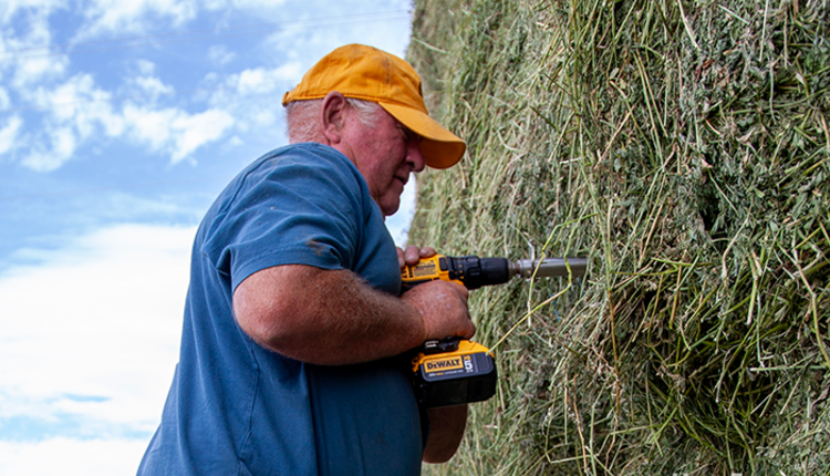 3HayProbe_web