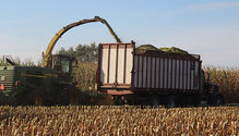 Corn-Silage-Chopping