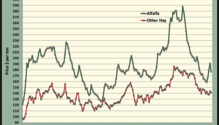 MonthGraph_Web
