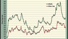 MonthGraph_ph