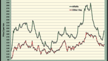 MonthGraph_web