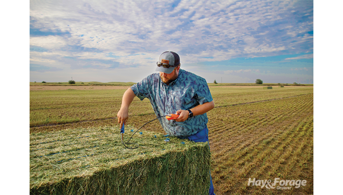 MorningStar_AF_25-copy