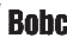 bobcat