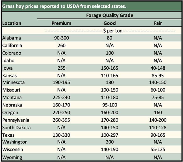 hay-markets_ph.3525.jpg