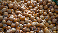 nuts