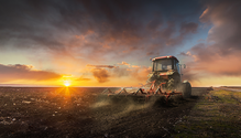 tillage